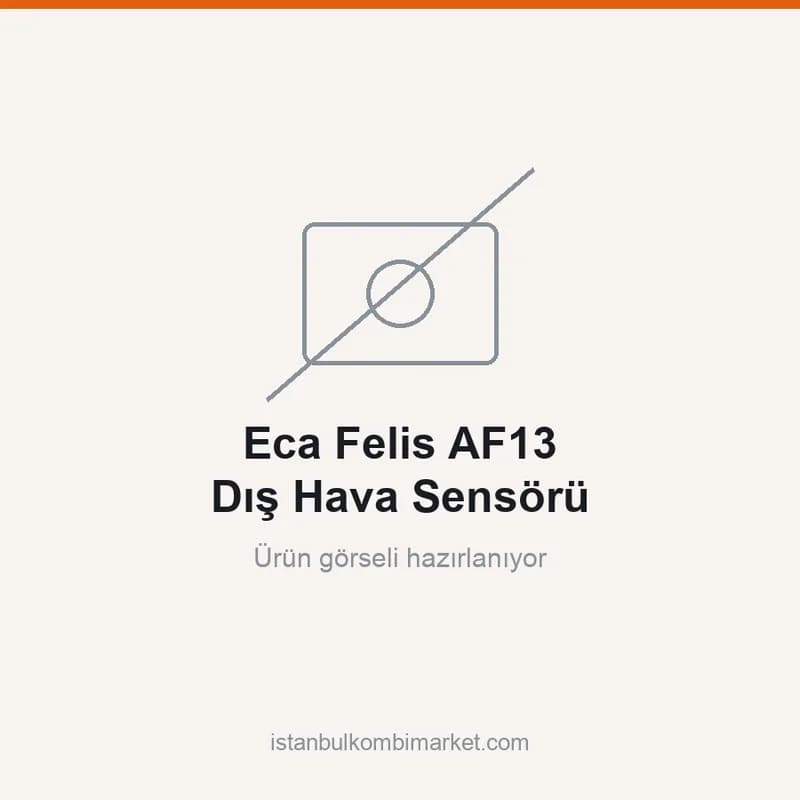 Eca Felis AF13 Dış Hava Sensörü